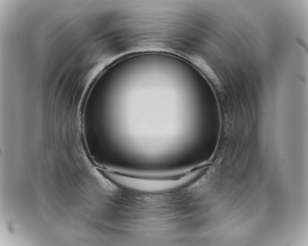 X0000097751380200803211642