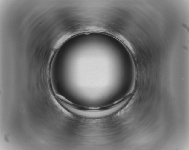 X0000097751381200803211642