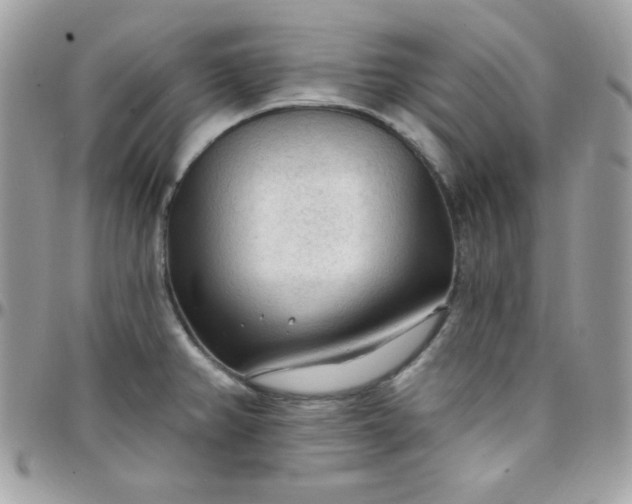 X0000097751382200803211642