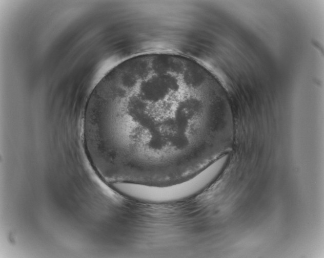 X0000097751383200803211642