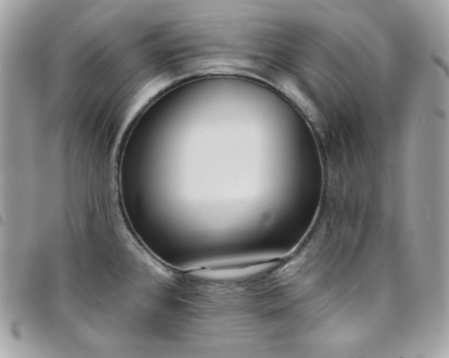 X0000097751384200803211642