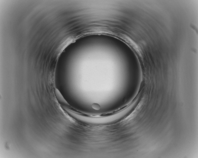 X0000097751385200803211642