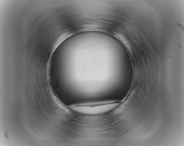 X0000097751386200803211642