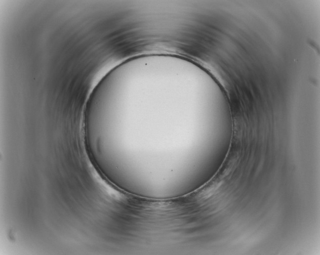 X0000097751387200803211642