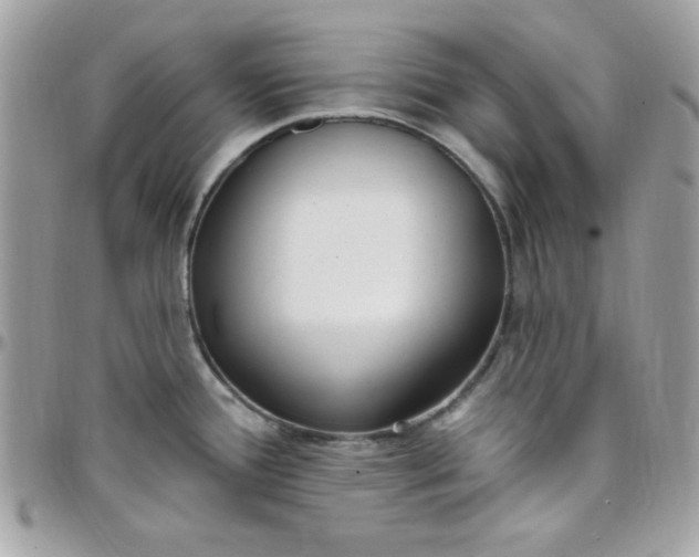 X0000097751388200803211642