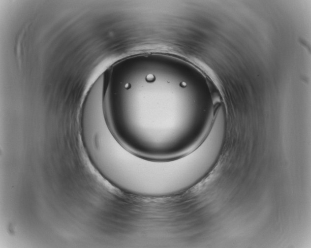 X0000097751389200803211642