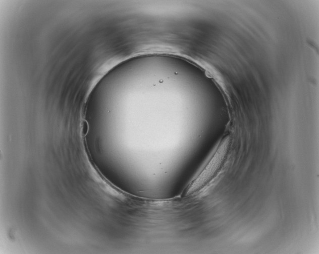 X0000097751390200803211642