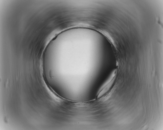 X0000097751391200803211642