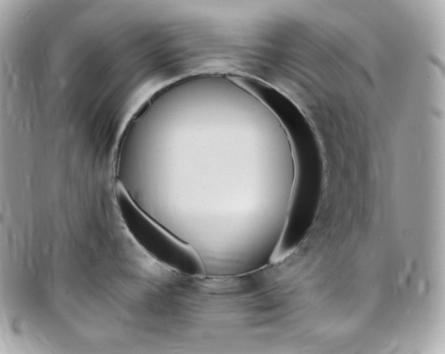 X0000097751392200803211642