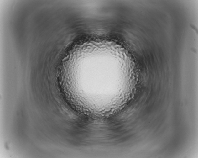 X0000097751393200803211641