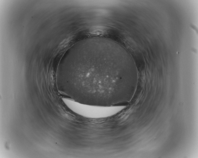 X0000097751394200803211641