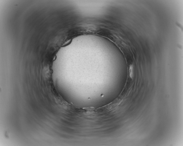 X0000097751395200803211641