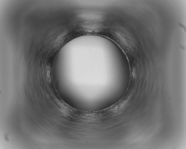 X0000097751396200803211641