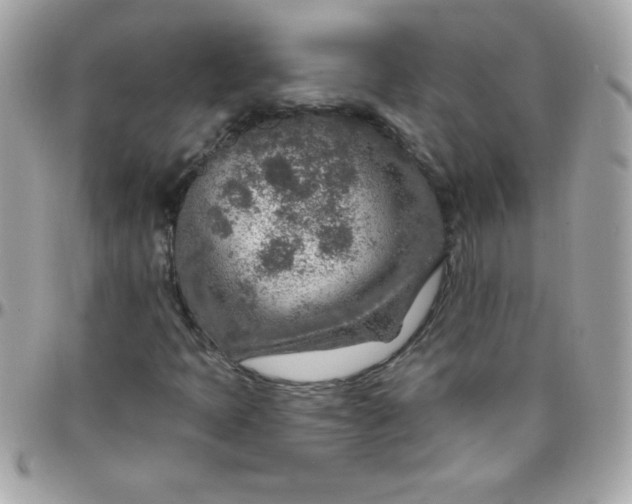 X0000097751397200803211641