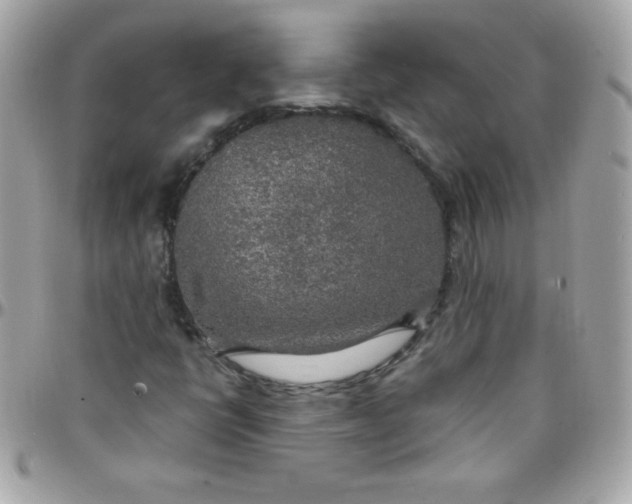 X0000097751398200803211641