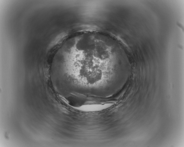 X0000097751399200803211641