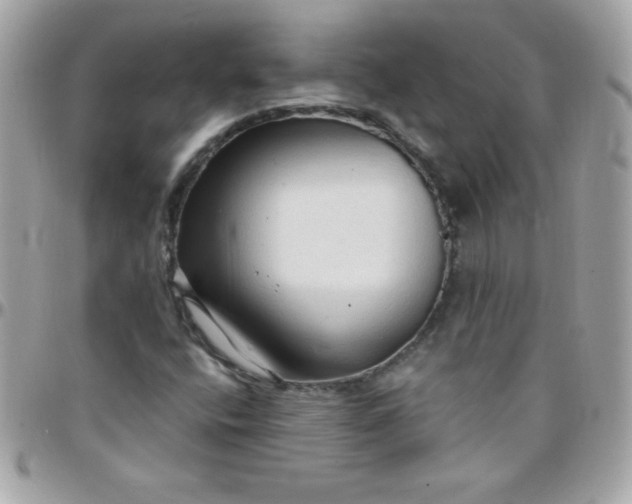 X0000097751400200803211641