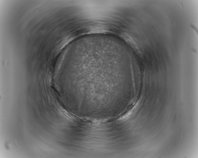 X0000097751401200803211641