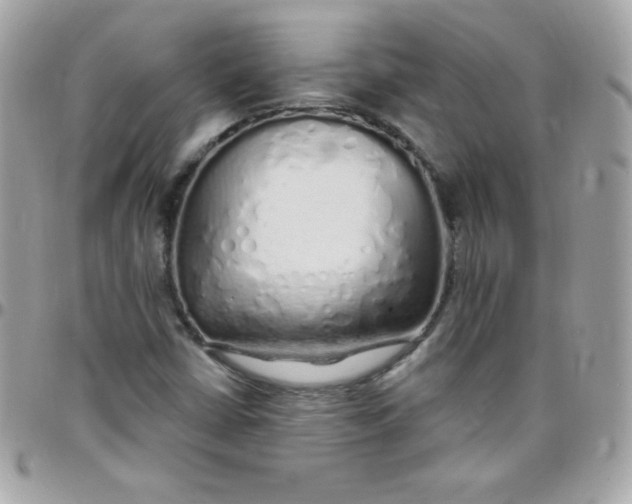 X0000097751402200803211641