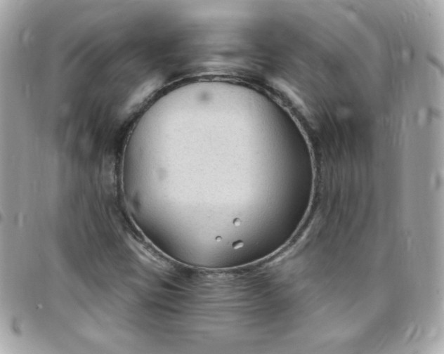 X0000097751403200803211641