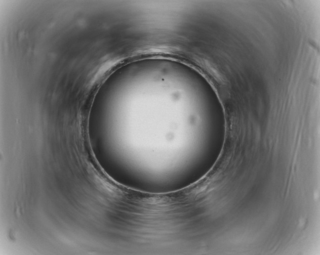 X0000097751404200803211642