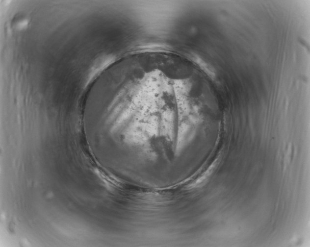 X0000097751405200803211642