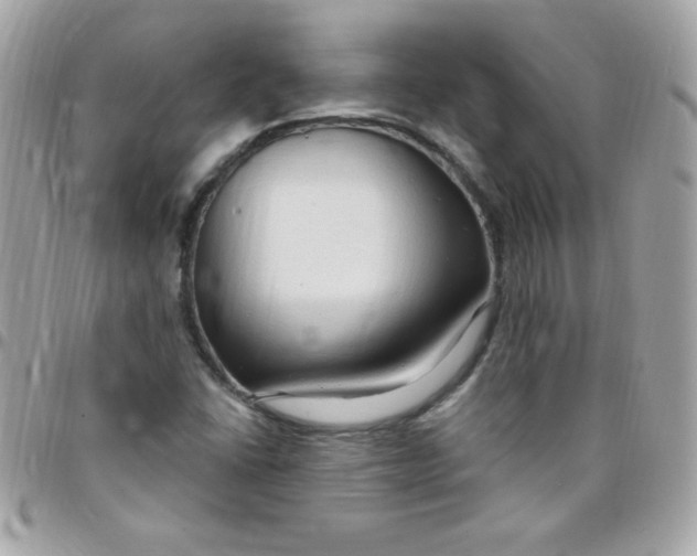 X0000097751406200803211642