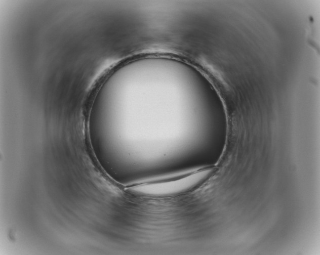 X0000097751408200803211642