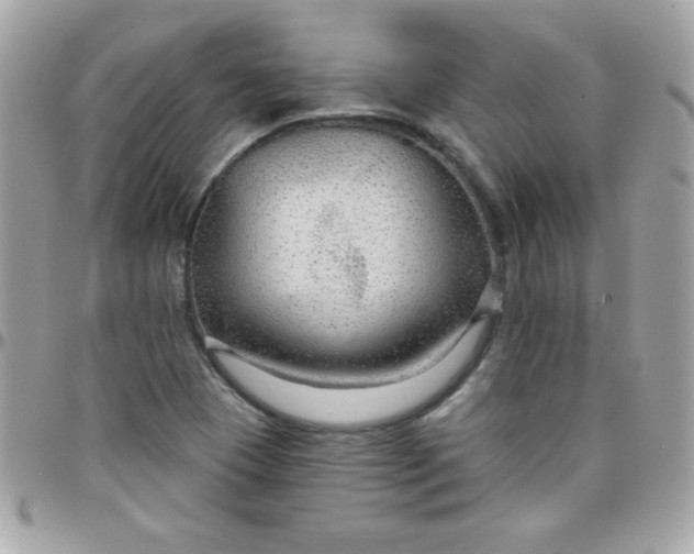 X0000097751409200803211642