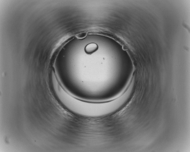 X0000097751410200803211642