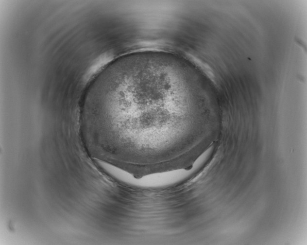 X0000097751411200803211642