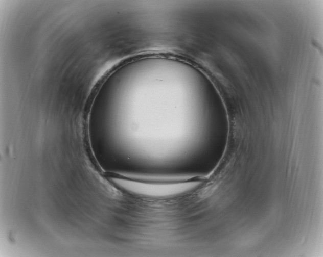 X0000097751412200803211642