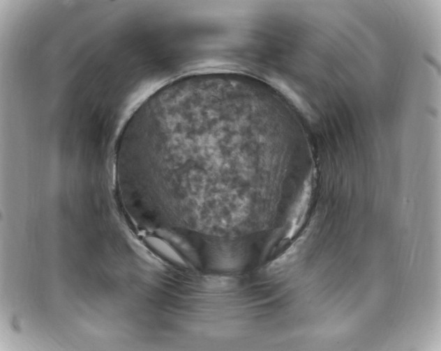 X0000097751413200803211642