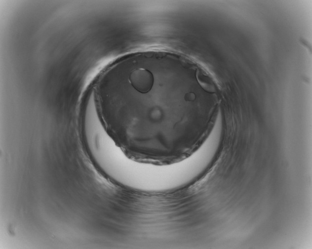 X0000097751414200803211642