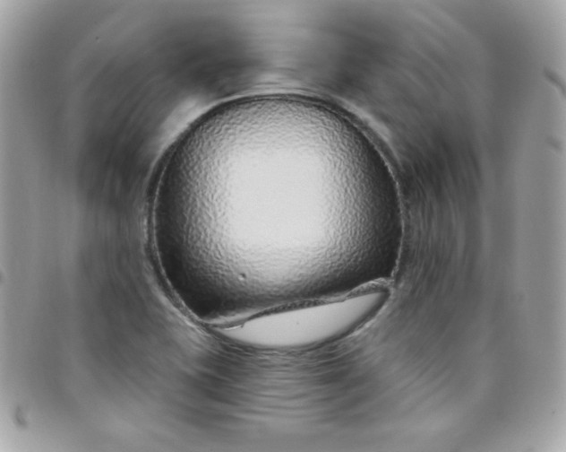 X0000097751415200803211642