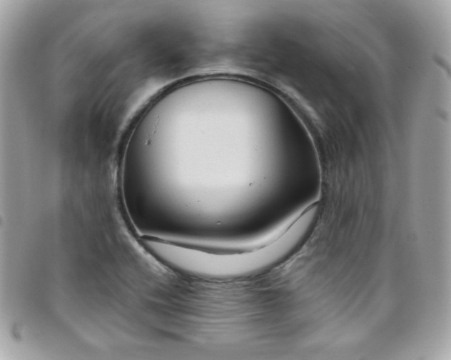 X0000097751416200803211642