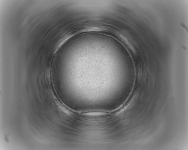 X0000097751417200803211642