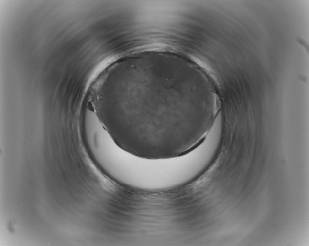 X0000097751418200803211642