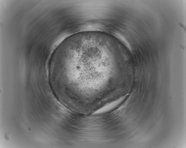 X0000097751419200803211642