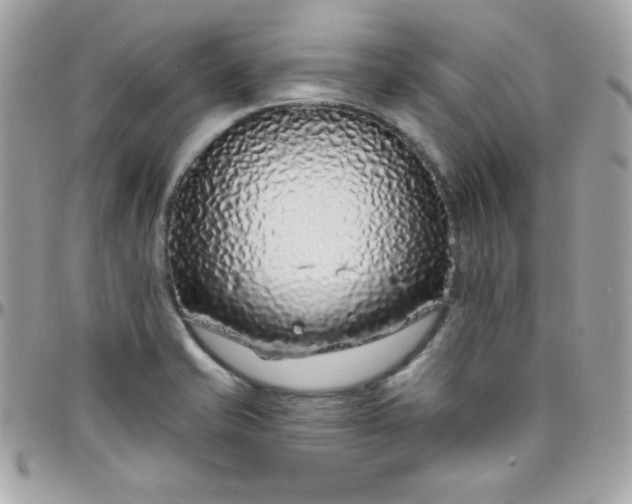 X0000097751421200803211642