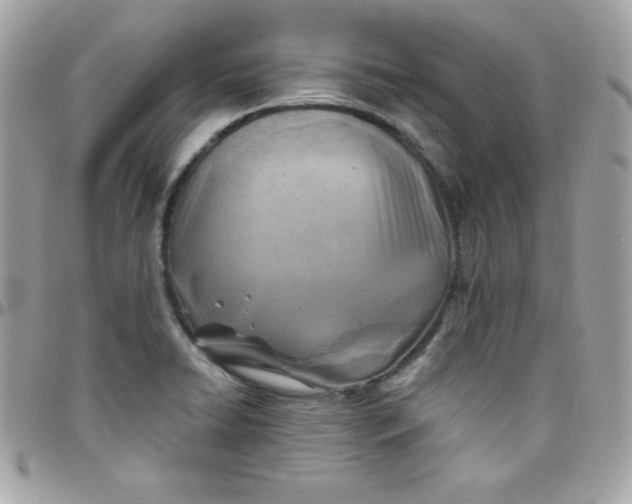 X0000097751422200803211642