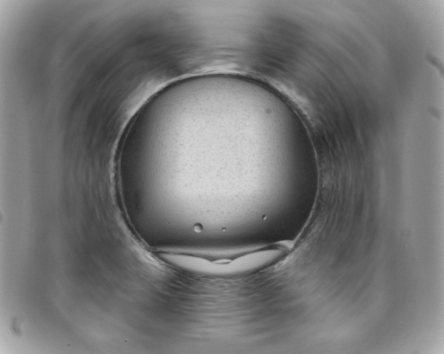 X0000097751423200803211642