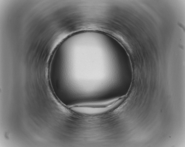 X0000097751424200803211642