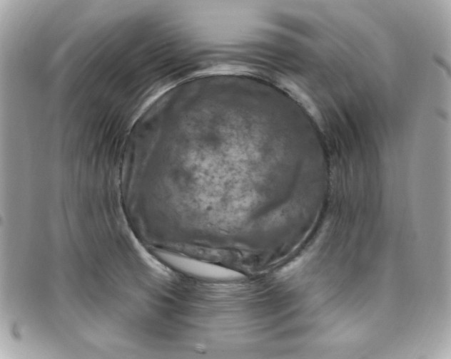 X0000097751425200803211642