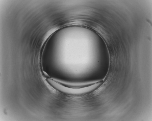 X0000097751426200803211642