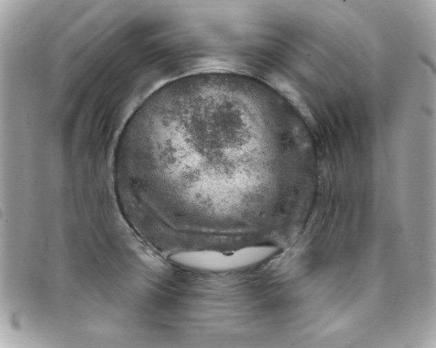 X0000097751427200803211642