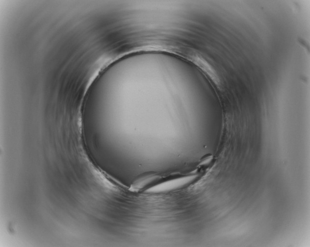 X0000097751428200803211642