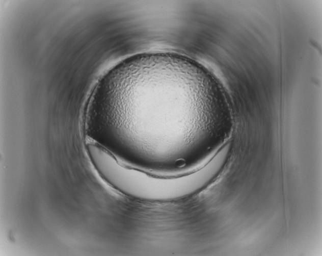 X0000097751429200803211642