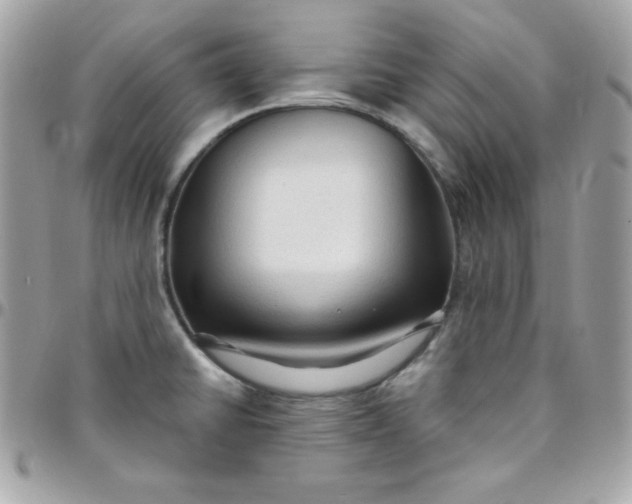 X0000097751430200803211642