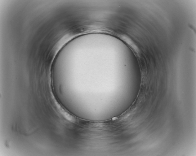 X0000097751431200803211642